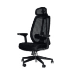 Ray Office Chair