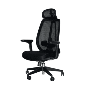 Ray Office Chair